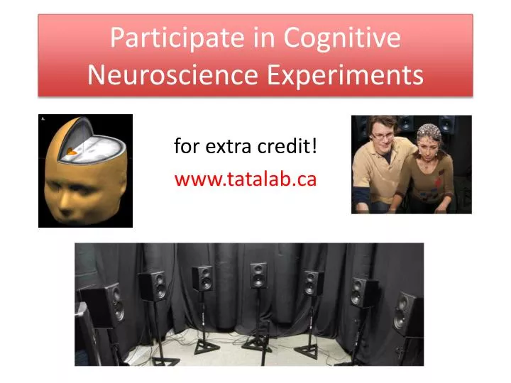 participate in cognitive neuroscience experiments