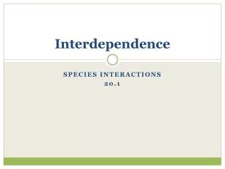 Interdependence