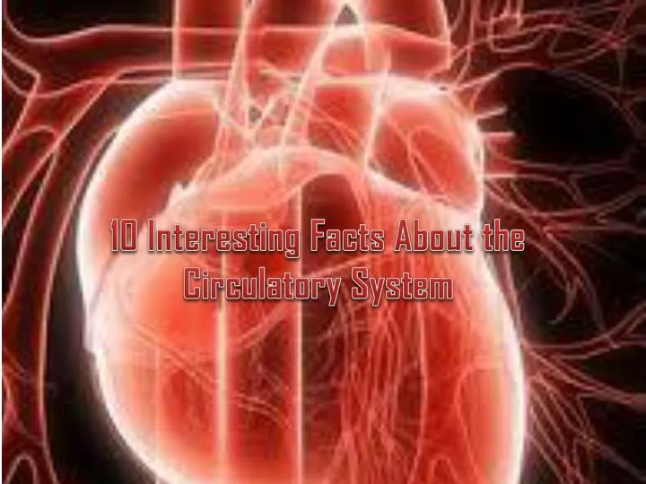 10 interesting facts about the circulatory s ystem