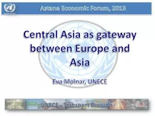 Astana Economic Forum, 2013