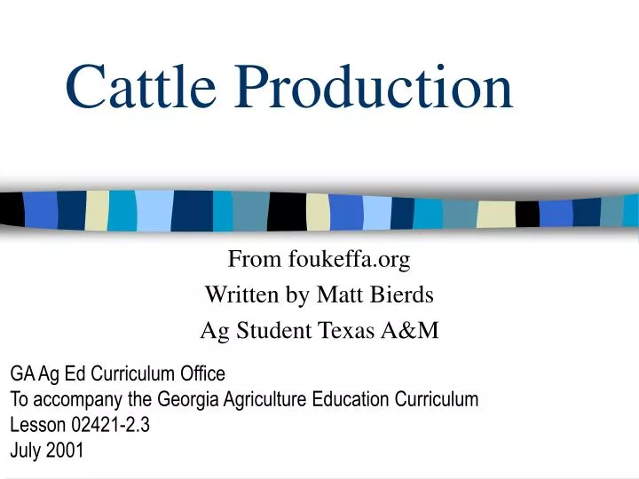 cattle production