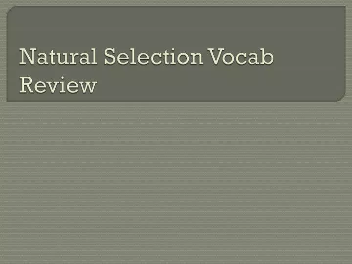 natural selection vocab review