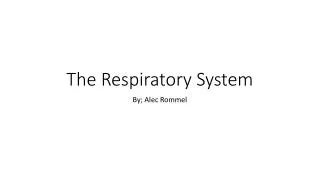 The Respiratory System