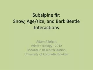 Subalpine fir: Snow, A ge/size, and B ark Beetle I nteractions