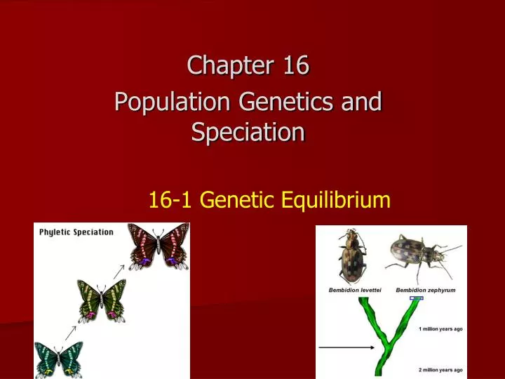 16 1 genetic equilibrium