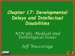 Chapter 17: Developmental Delays and Intellectual Disabilities - slide 1