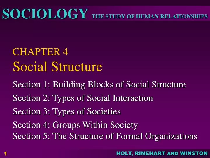 chapter 4 social structure