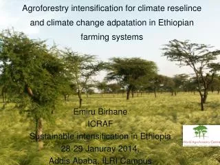Emiru Birhane ICRAF Sustainable intensification in Ethiopia 28-29 Januray 2014 ,