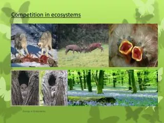 Competition in ecosystems