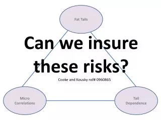 Can we insure these risks?