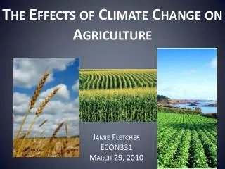 The Effects of Climate Change on Agriculture