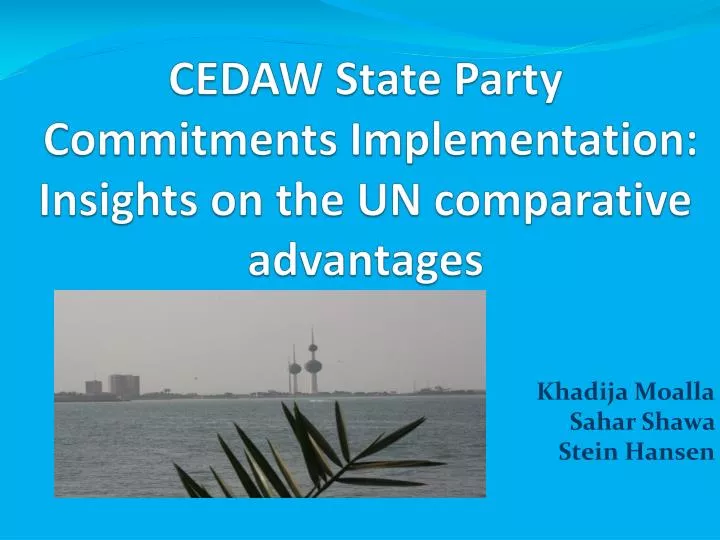 cedaw state party commitments implementation insights on the un comparative advantages
