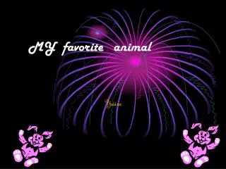 MY favorite animal