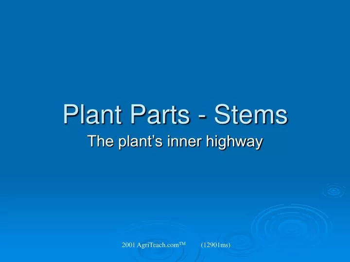 plant parts stems
