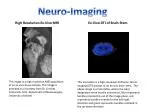 High Resolution Ex-Vivo MRI - slide 1