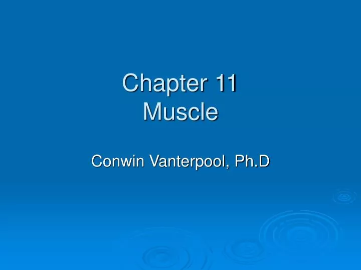 chapter 11 muscle