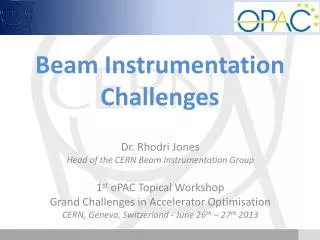 Beam I nstrumentation Challenges