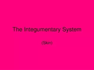 the integumentary system