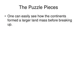 The Puzzle Pieces