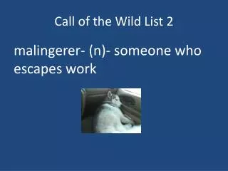 Call o f the Wild List 2