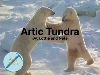 Artic Tundra