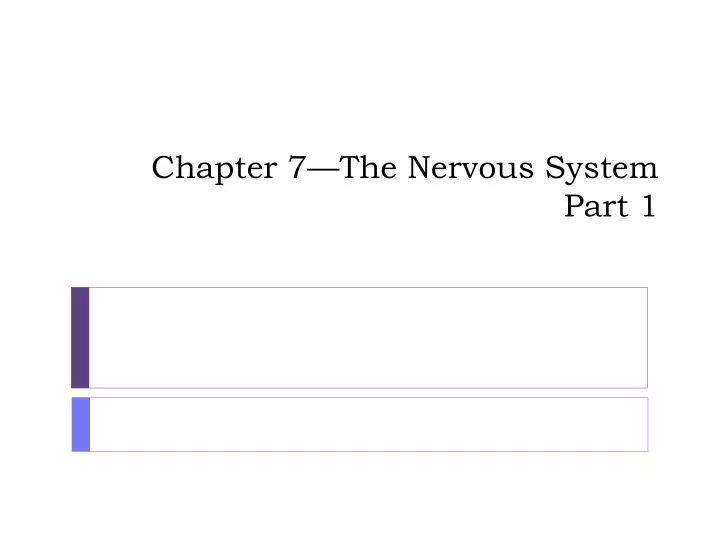 chapter 7 the nervous system part 1