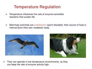 Temperature Regulation