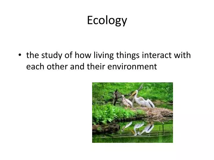 ecology