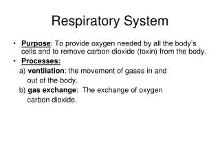 respiratory system