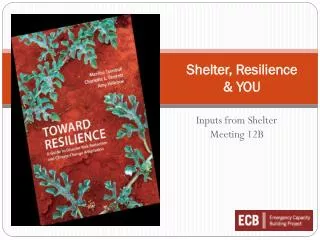Shelter, Resilience &amp; YOU