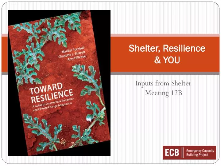 shelter resilience you