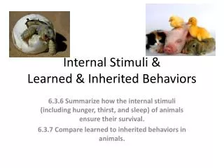 Internal Stimuli &amp; Learned &amp; Inherited Behaviors