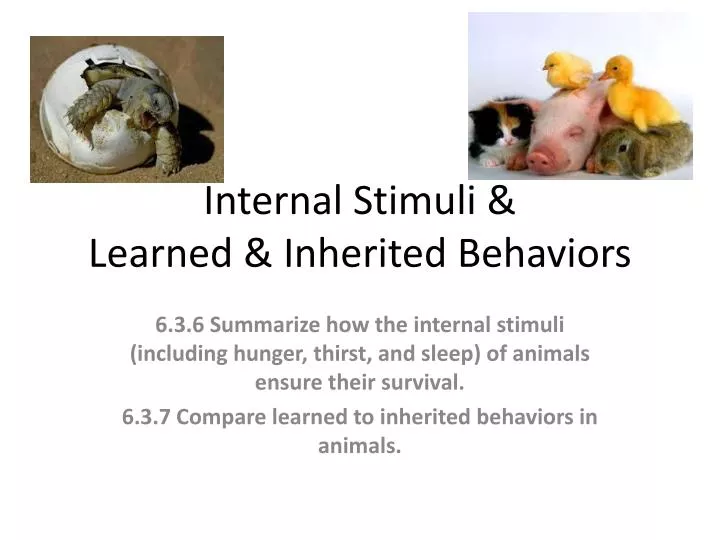 internal stimuli learned inherited behaviors