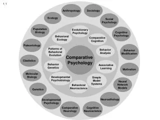 Comparative Psychology