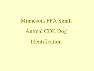 Minnesota FFA Small Animal CDE Dog Identification