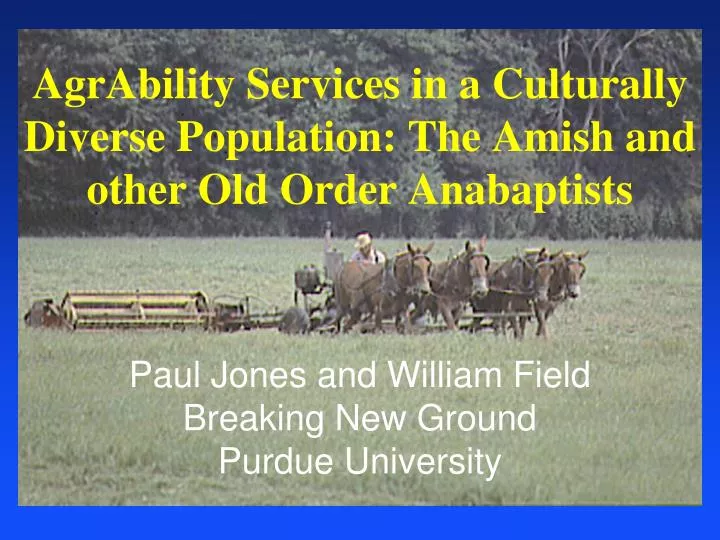 agrability services in a culturally diverse population the amish and other old order anabaptists