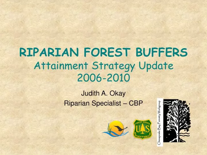 riparian forest buffers attainment strategy update 2006 2010