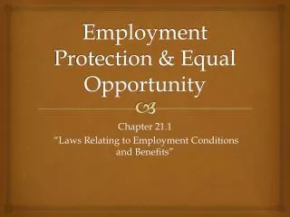 Employment Protection &amp; Equal Opportunity