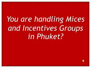 You are handling Mices and Incentives Groups in Phuket?