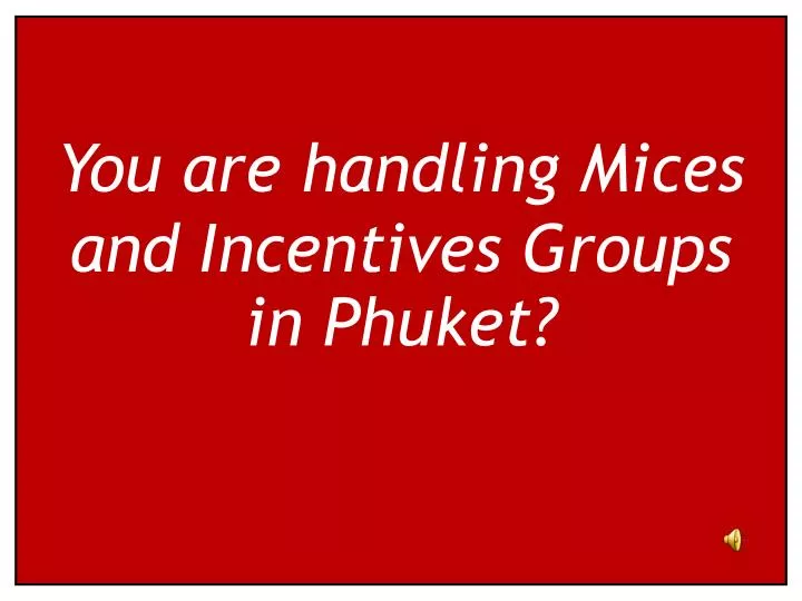 you are handling mices and incentives groups in phuket