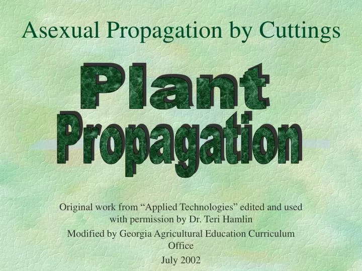 asexual propagation by cuttings