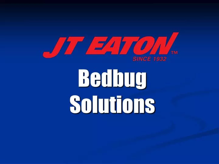 bedbug solutions