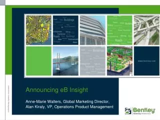 Announcing eB Insight