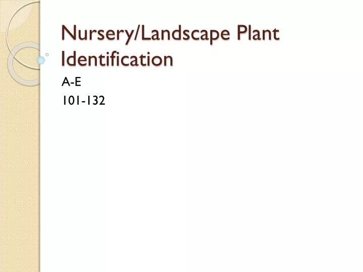 nursery landscape plant identification