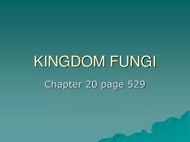 kingdom fungi