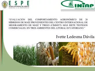 ivette ledesma d vila