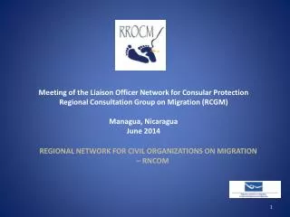 Meeting of the Liaison Officer Network for Consular Protection