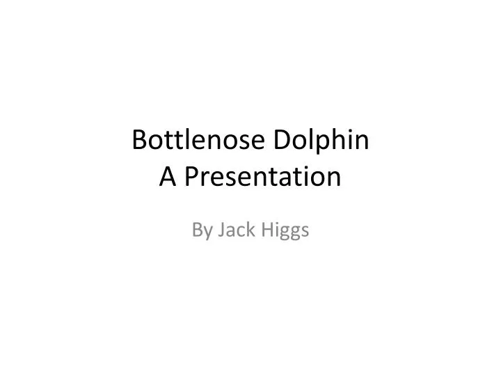 bottlenose dolphin a presentation