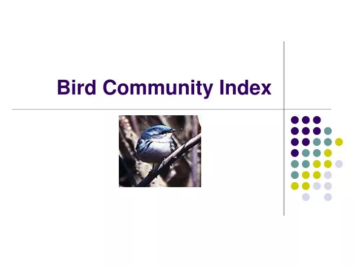 bird community index