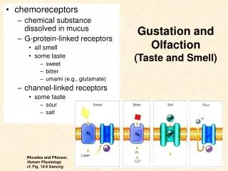 Gustation and Olfaction (Taste and Smell)